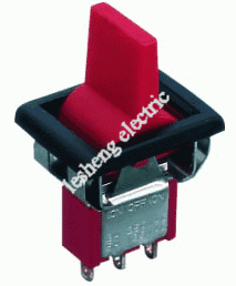 SP-4系列翹板開(kāi)關(guān)